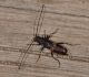 DSC_0965 Correction.jpg