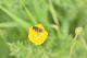 DSC_6405-min.JPG