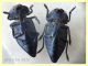 Capnodis tenebricosa 15 mm. - Solfatara di Pomezia - 28.4.2022 - (4).JPG