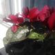 IMG_20220503_101259-min.jpg