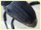 Sphenophorus sp. - 10 mm. senza rostro - Solfatara di Pomezia - 28.4.2022 - (7).JPG