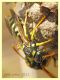 Polistes sp. - Anzio - 31.5.2022 - (8).JPG