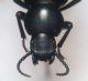 DSCF2479.JPG