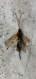IMG_0193.PNG