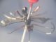 DSCN2224.JPG