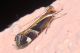DSCN95252.JPG