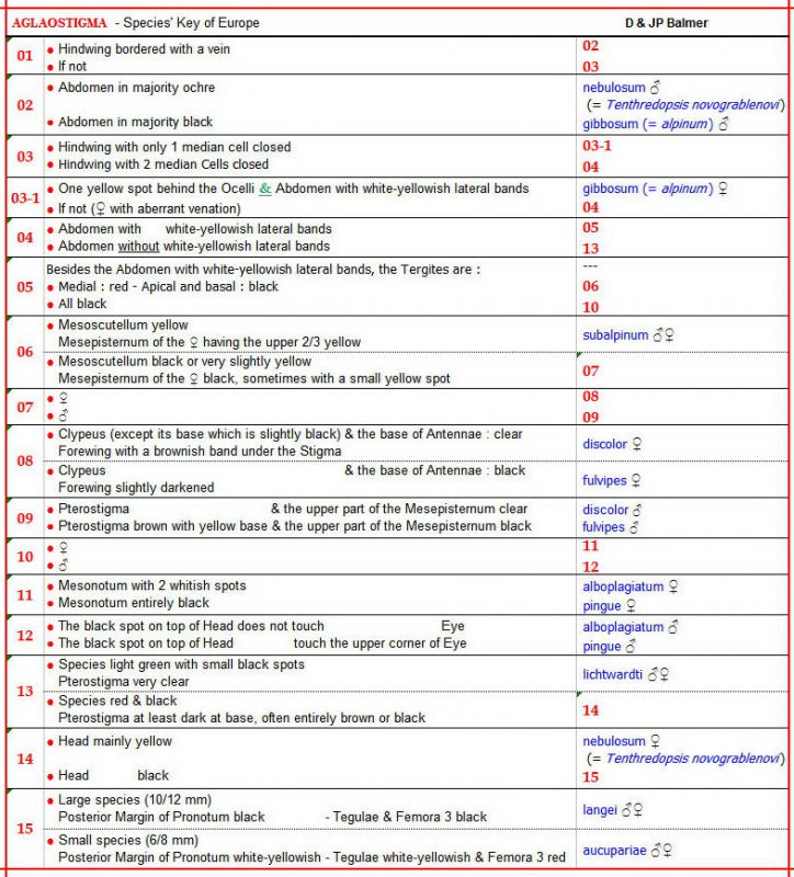 AGLAOSTIGMA - Species' Key  - Image au 14.07.2022.jpg