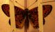 DSC00215.JPG