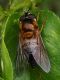 IMG_20220402_163949 - Copia.jpg