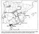 Localidad del ejemplar-Cabo de Gata.JPG