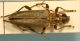 IMG_2110 - Copia.JPG