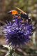 4D9A1689-JWf.jpg