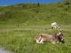 DSC08658.JPG