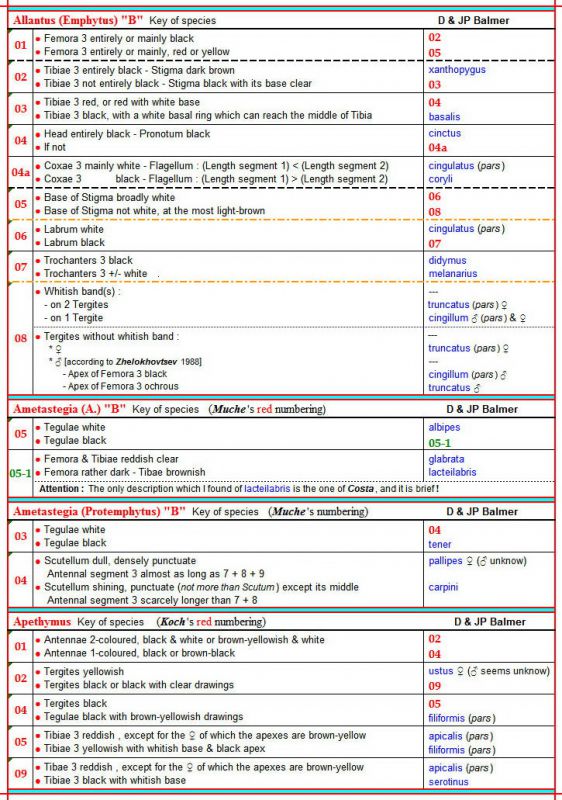 ALLANTINAE - Apethymus, Emphytus ''B'', Ametastegia ''B'', Protemphyus ''B'' - Clés des espèces au 02.09.22 - Image.jpg