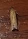 IMG_20220904_232221 - Copia.jpg
