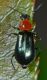 sassari11mag22 002mod.jpg