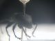DSCN2239.JPG