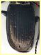 Pterostichus num. 1 circa 14 mm. - (25).JPG