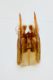 Smicromyrme sp capsula.jpg