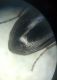 20221113_195107.jpg