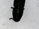 Snapshot@2022_1112_205625.jpg