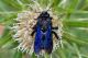 DSC_9945-2.jpg