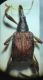 Screenshot_20221211-183035_Gallery.jpg