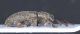 Experiment-365-Extended Depth of Focus-07.jpg