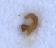 Experiment-364-Extended Depth of Focus-06.jpg