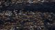 Experiment-520-Extended Depth of Focus-11.jpg