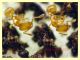 Solenopsis fugax  circa 1,5 mm. - Caffarella 1.12.2022 - (34).JPG