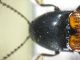 IMG_20230216_184021_compress27_resize_14.jpg
