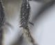 331359473_699926731820413_5406178680040427152_n.jpg