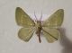 img4684ly8.jpg