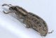 Experiment-852-Extended Depth of Focus-03.jpg
