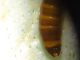 IMG_20230222_134649_compress93_resize_46.jpg