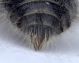 Experiment-907-Extended Depth of Focus-11.jpg