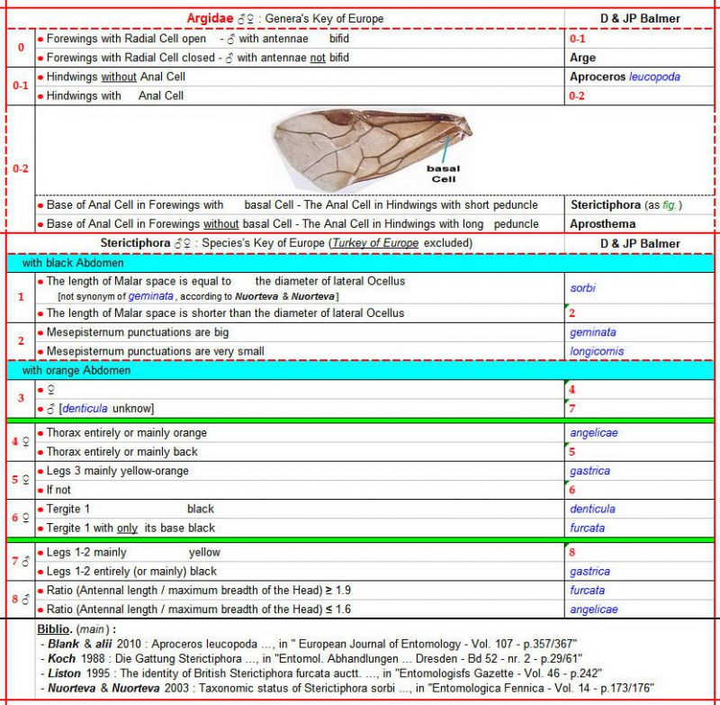 ARGIDAE (clé des Genres) + Clé des STERICTIPHORA au 28.03.23 - Image.jpg