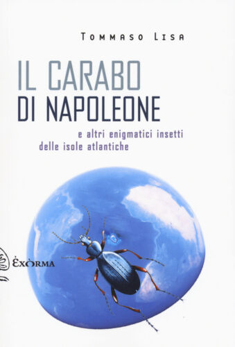 Il carabo di Napoleone - copertina.jpg