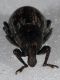 DSC_8069mod.jpg