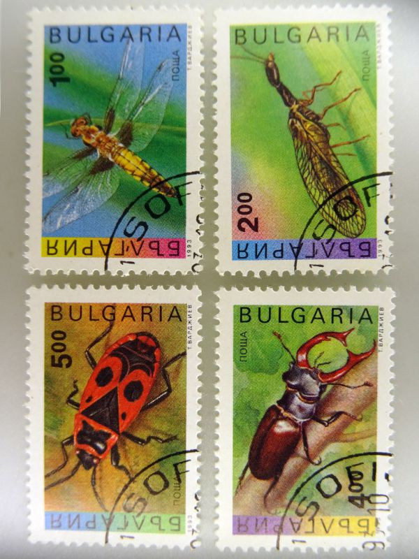 Libellula depressa, Ornatoraphidia flavilabris, Pyrrhocoris apterus, Lucanus cervus.JPG