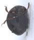 Experiment-1089-Extended Depth of Focus-05.jpg