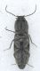 Experiment-1093-Extended Depth of Focus-04.jpg