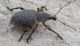 4_DSC_1587.jpg