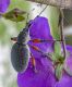 3_DSC_1763.jpg