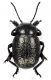 Comb3886rc-22L6.jpg