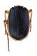 Comb3908rc-19L6.jpg