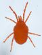 Experiment-1147-Extended Depth of Focus-01.jpg
