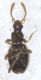 Experiment-1251-Extended Depth of Focus-03.jpg