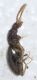 Experiment-1252-Extended Depth of Focus-04.jpg
